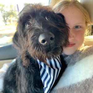 Meet your Posher, Lisa